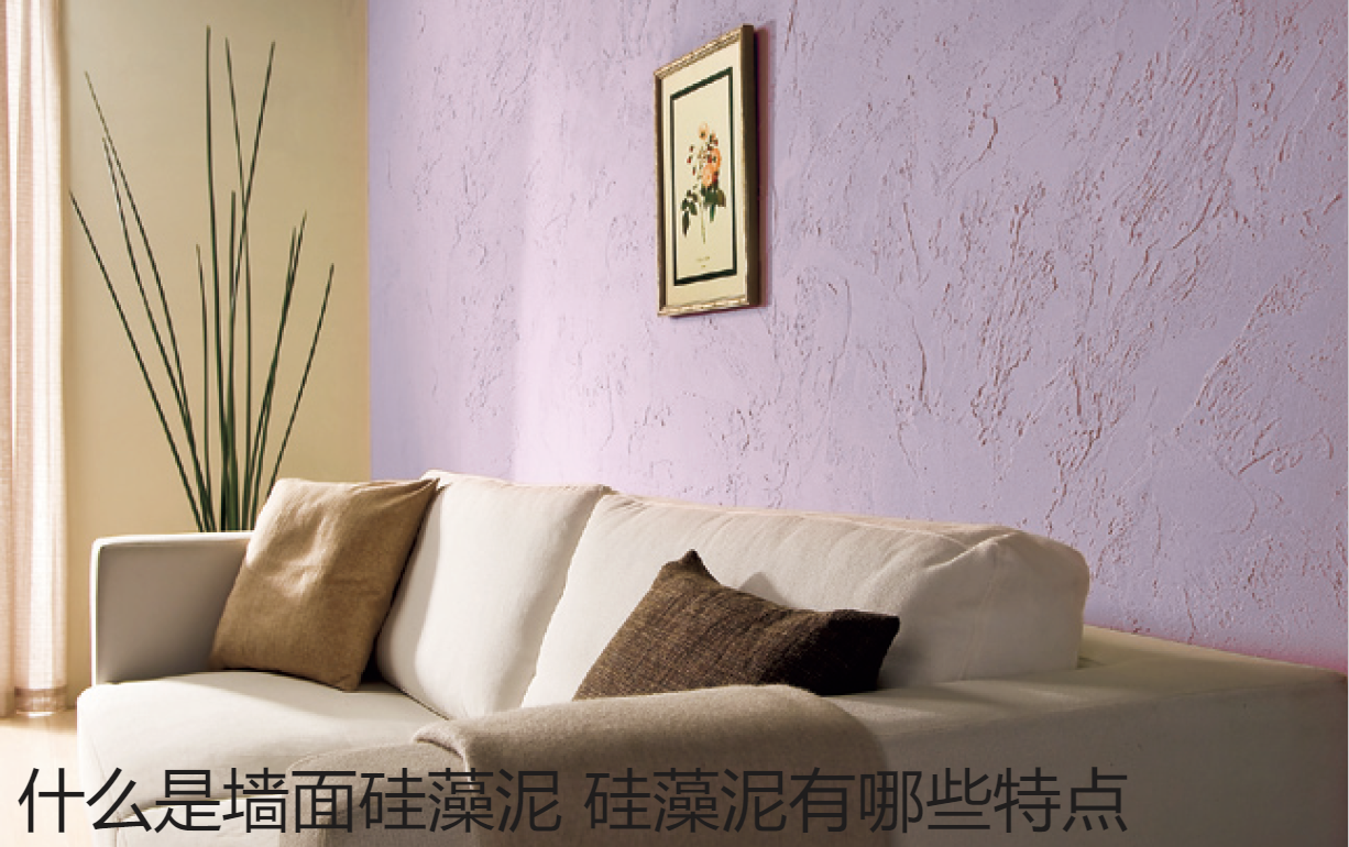 什么是墙面硅藻泥 硅藻泥有哪些特点.jpg